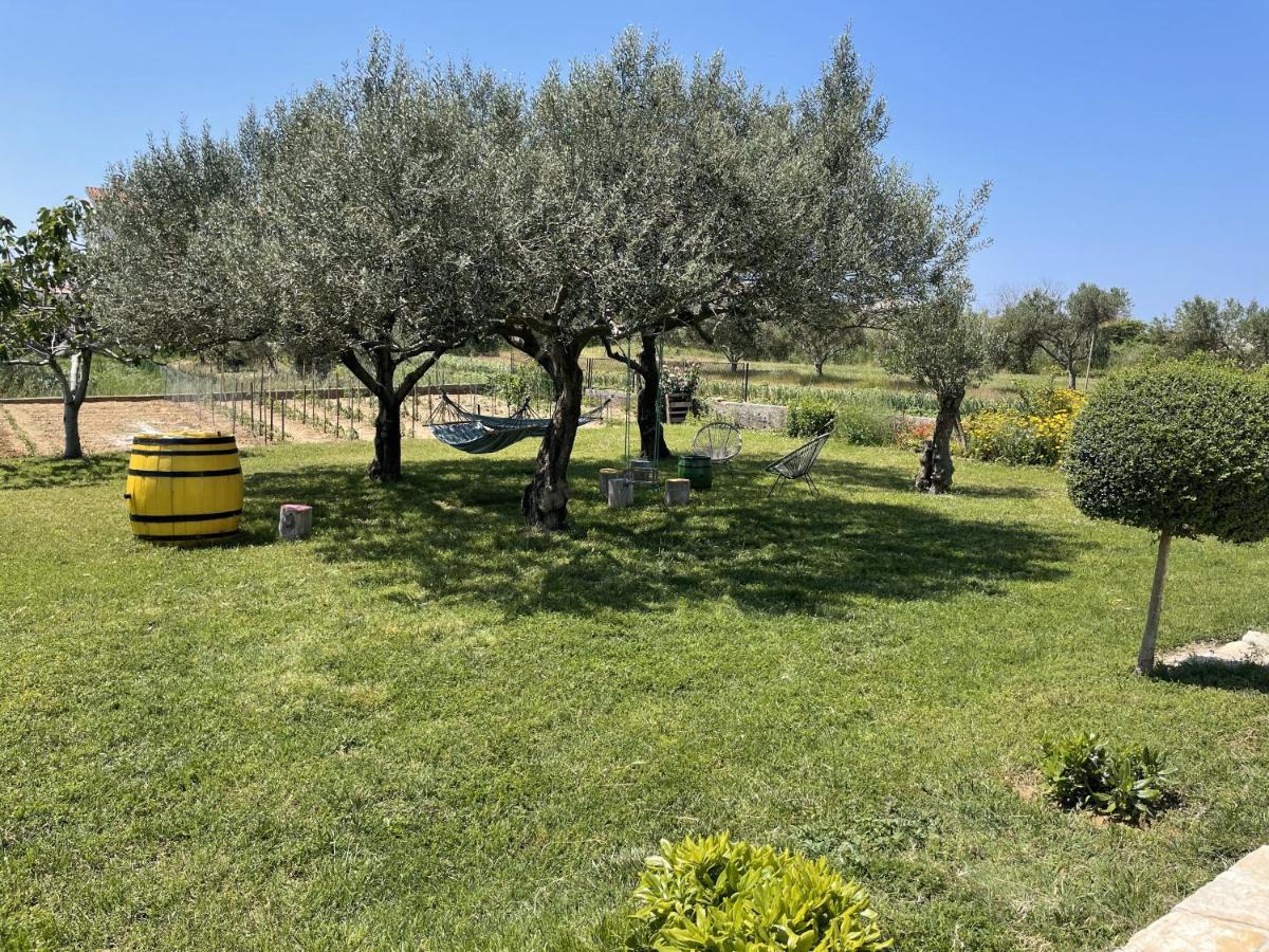 Bed&Breakfast Nada Privlaka  Dış mekan fotoğraf